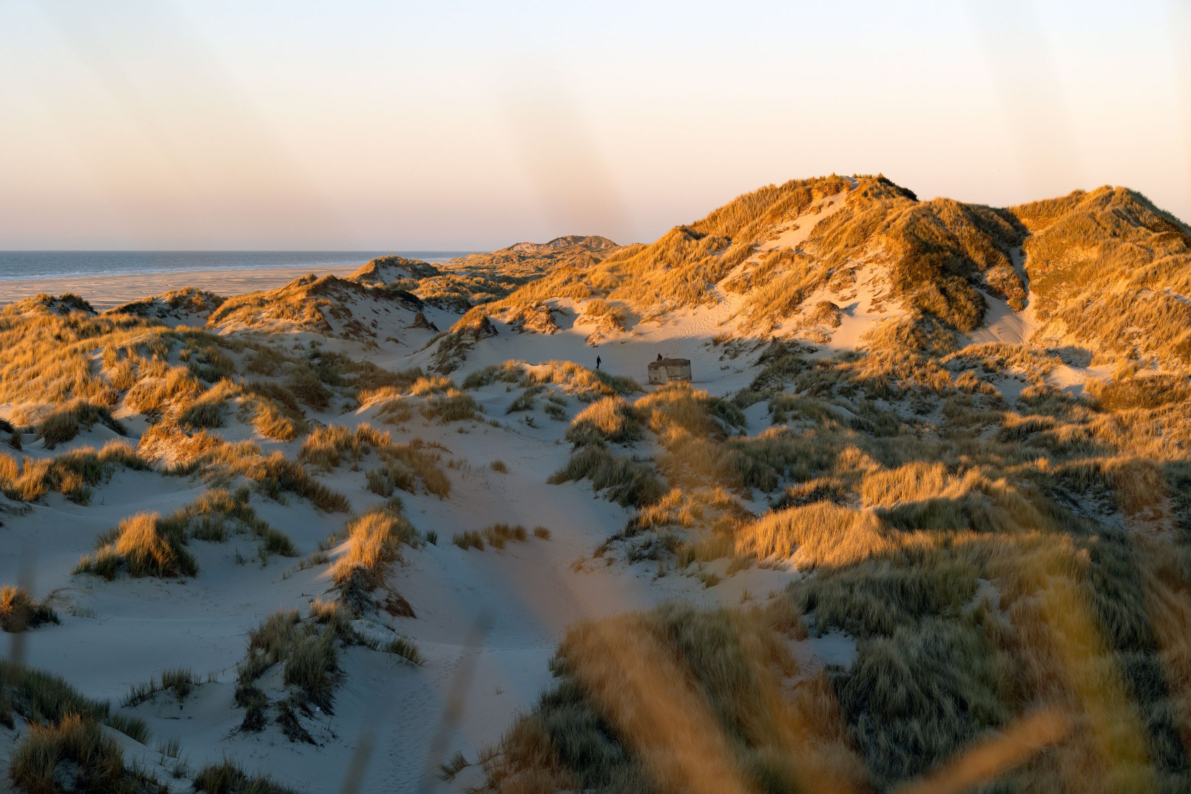 Duinlandschap op de Boschplaat bij zonsondergang, Terschelling